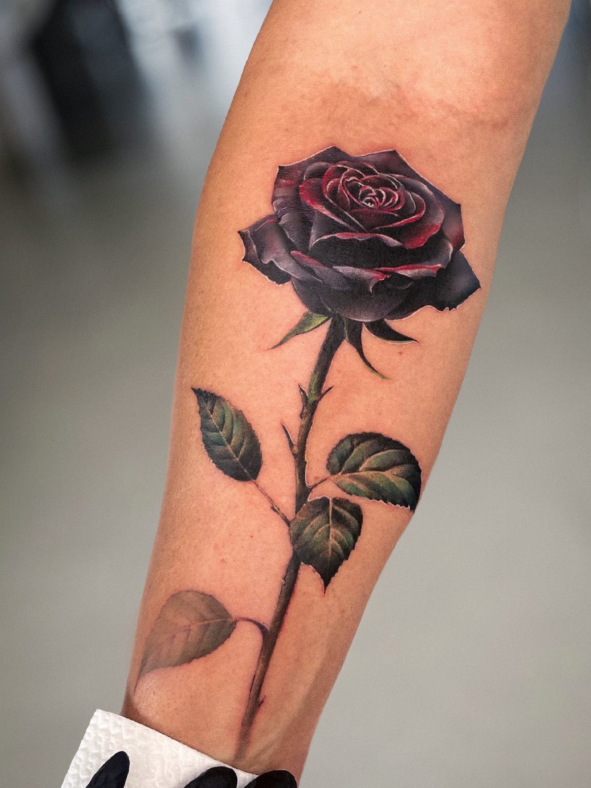 A realistic dark red and black rose tattoo with green leaves on a person's forearm.